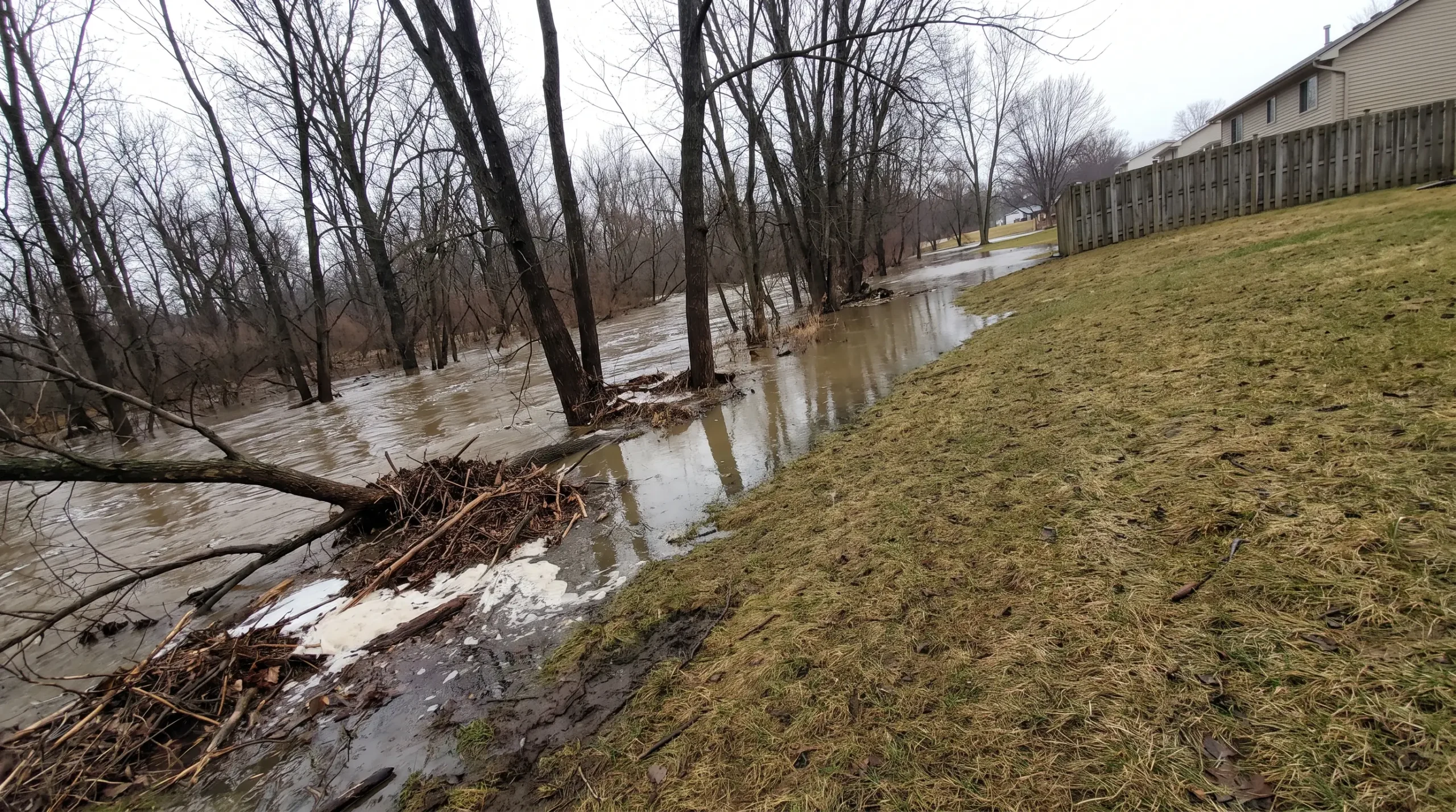 River running high among bare trees, with water up on the grass behind a fenced yard