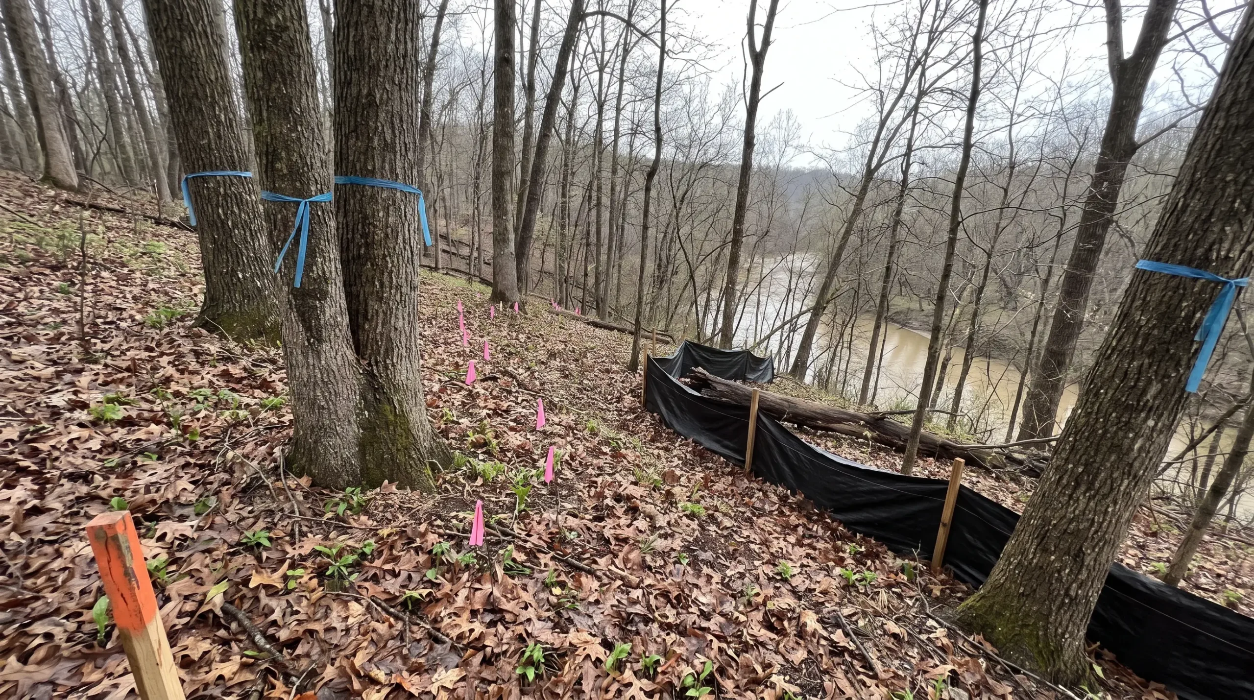 Wooded lot sloping down to a river with flagged trees, pin flags and a silt fence on the hillside