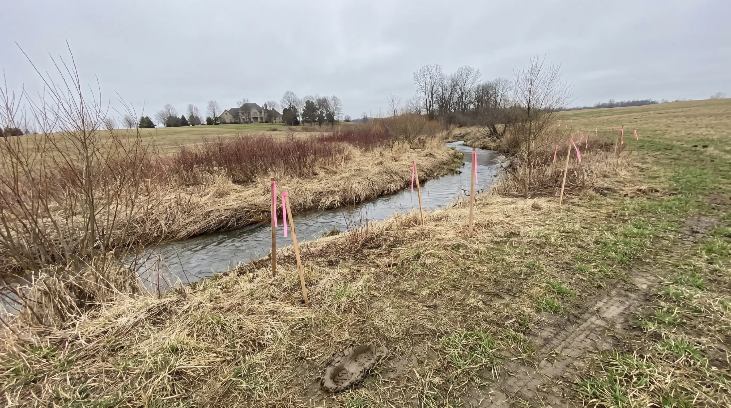 A small creek through an uncut natural strip, with ribboned stakes set back from the bank on a large open lot